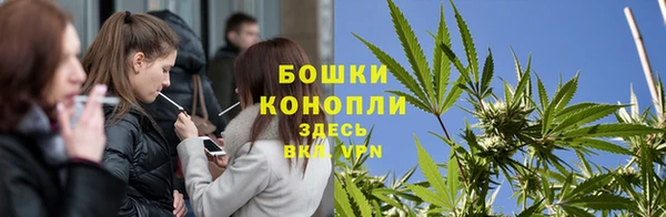 сатива Нея