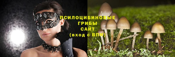 ПСИЛОЦИБИНОВЫЕ ГРИБЫ Нефтекумск