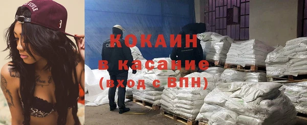 сатива Нея