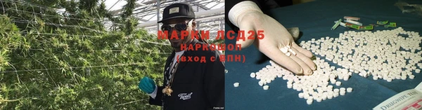 ПСИЛОЦИБИНОВЫЕ ГРИБЫ Нефтекумск